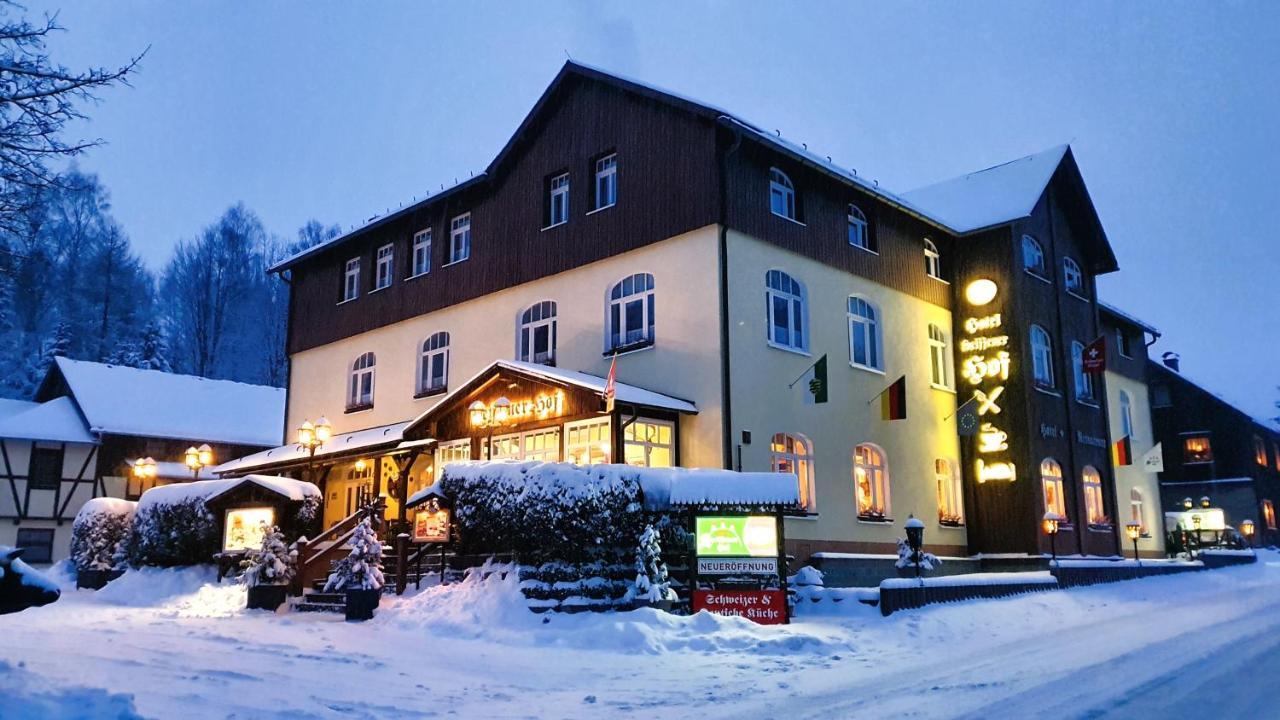 Hotel Seiffener Hof*** Екстер'єр фото